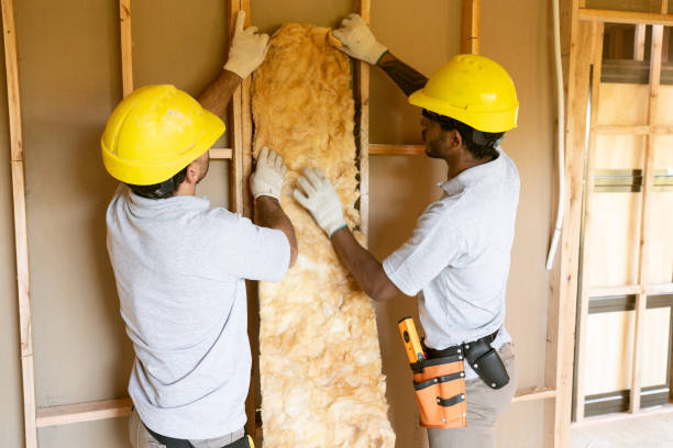 Best Wall Insulation Contractor  in East Brady, PA